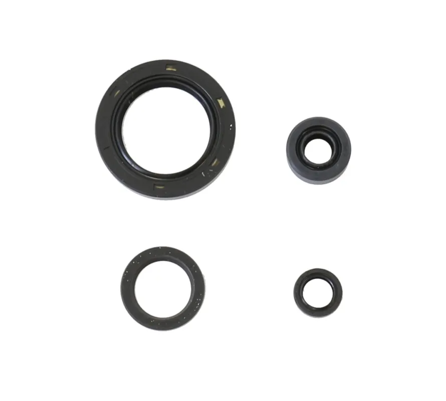Ověřený Sada gufer motoru ATHENA P400210400127