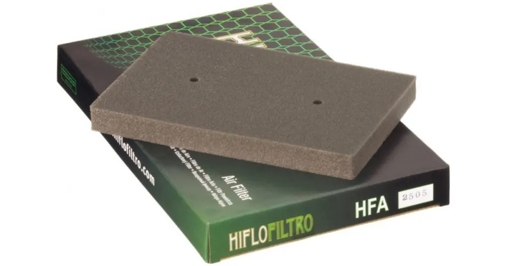 HIFLO vzduchový filtr HFA2505 Jen Po Omezenou Doba